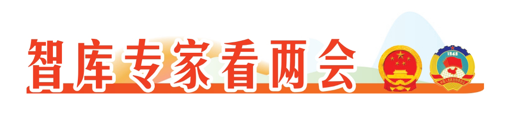 2025智庫專家看兩會